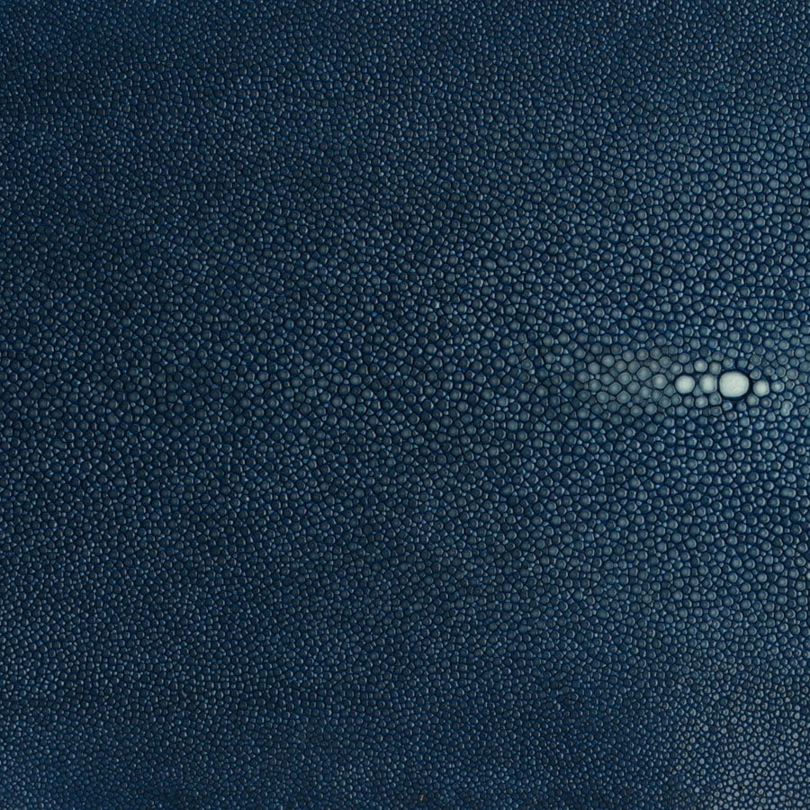 8 in Forged SS Bowl  Shagreen Handles