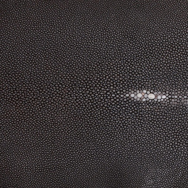 Shagreen Leather
