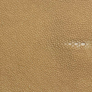 Forged SS Tapered Pitcher Shagreen Handle