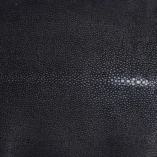 Hand Forged SS Scoop Shagreen Handle