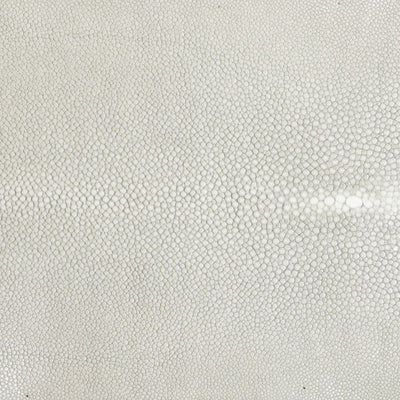 Forged SS Tapered Pitcher Shagreen Handle