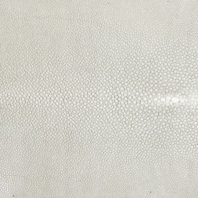 Hand Forged SS Spoon Shagreen Inlay