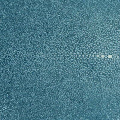 18 x 10 Hand Forged SS Tray Shagreen