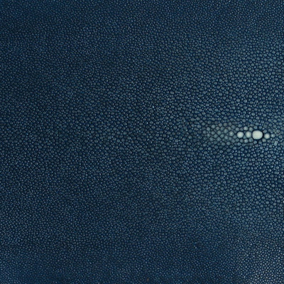 Hand Forged SS Spoon Shagreen Inlay