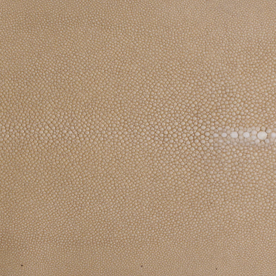 LUNA Gold Plated Earring Shagreen Inlay