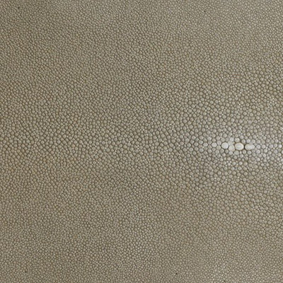 Hand Forged SS Spoon Shagreen Inlay