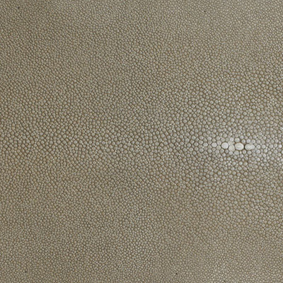 12 in Forged SS Bowl  Shagreen Handles